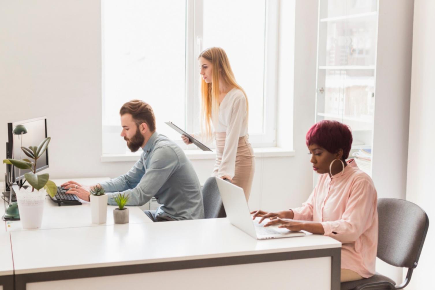 Environnement d'apprentissage professionnel chez ulmyroneonaso